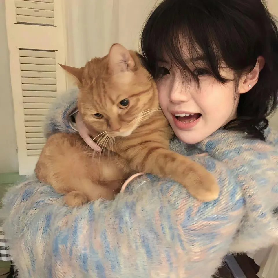 花与爱丽丝杀人事件